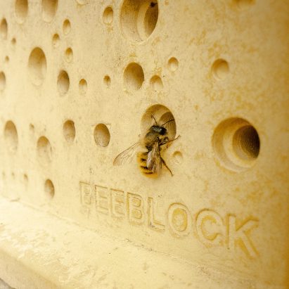 Bee on Bee Block by Green&Blue