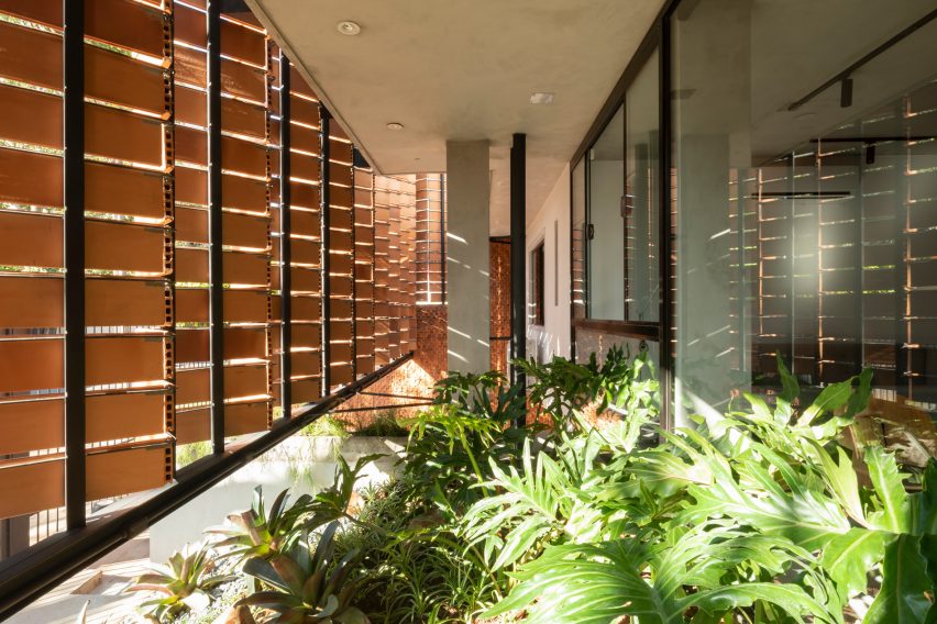 Reforma Alas by OMCM Arquitectos