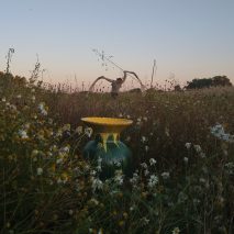 Pauline Rip, vase and outfits used for collecting morning dew for elves