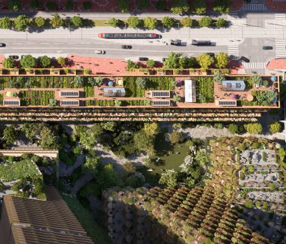 rooftop gardens at Adjaye Mass timber plant covered