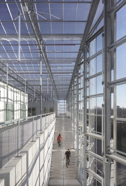 Inside Agrotopia greenhouse showing visitors climbing the wide entrance staircase