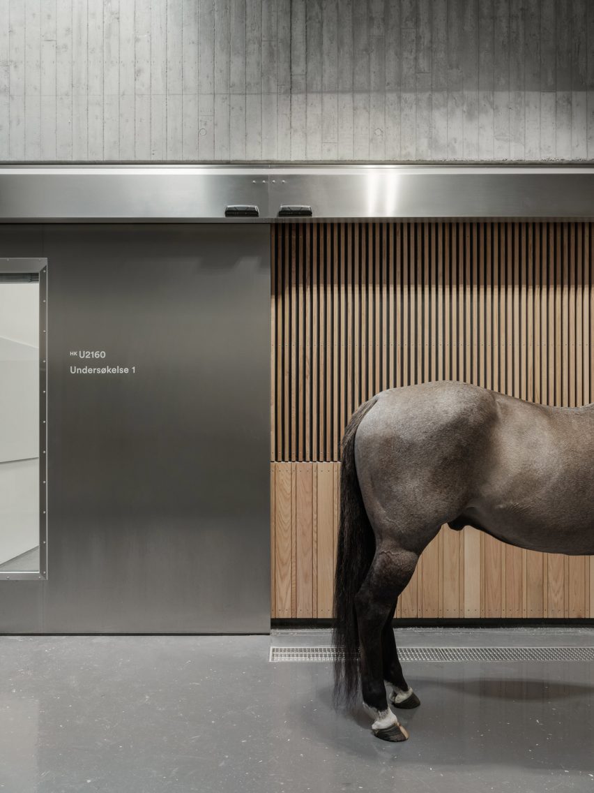 The Veterinary Building forms part of the Norwegian University of Life Sciences and was designed by Henning Larsen and Fabel Arkitekter