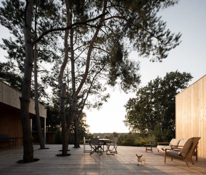 Wooden terrace punctured by trees