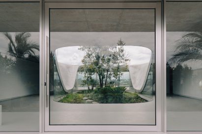 Courtyard with tree