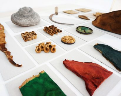 Samples of amadou leather dyed green and red next to hoof fungus 