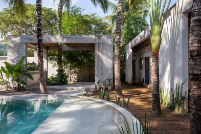 Trees and plants by pool