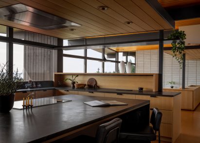 Golden House, US, by SHED Architecture and Design
