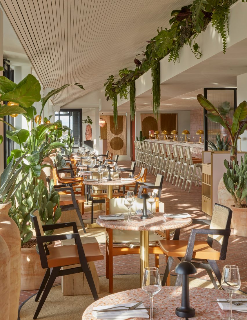 Plants in rooftop bar