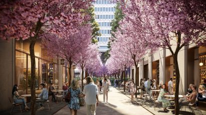 Cherry blossoms below Transamerica Pyramid