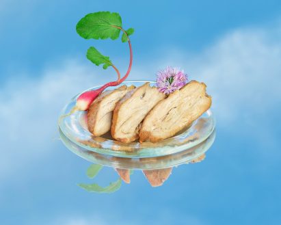 A plate of alternative meat against a blue background