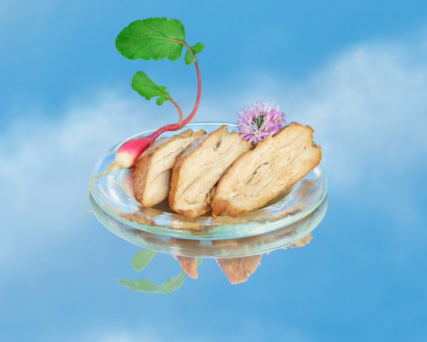 A plate of alternative meat against a blue background
