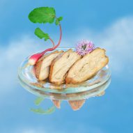 An illustration of Air Meat