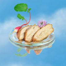 An illustration of Air Meat