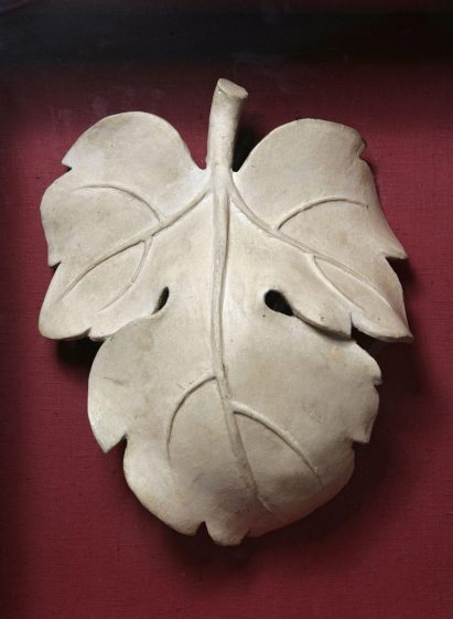 Plaster fig leaf pictured on a red background