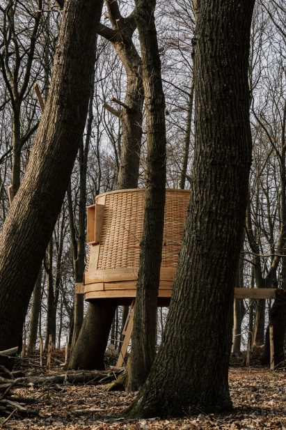 Sylvascope by Sebastian Cox for Harewood Biennial