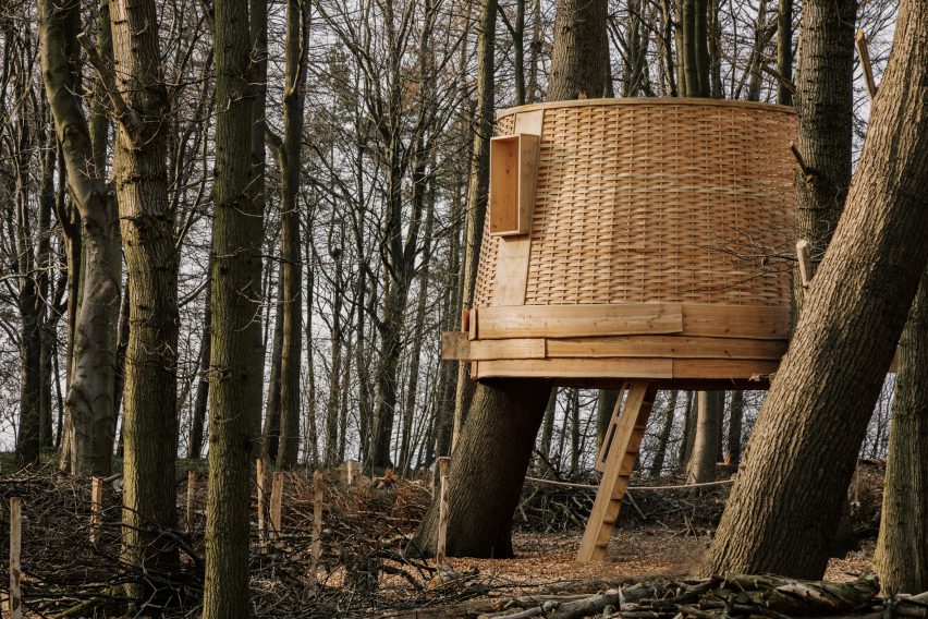 Sylvascope by Sebastian Cox for Harewood Biennial