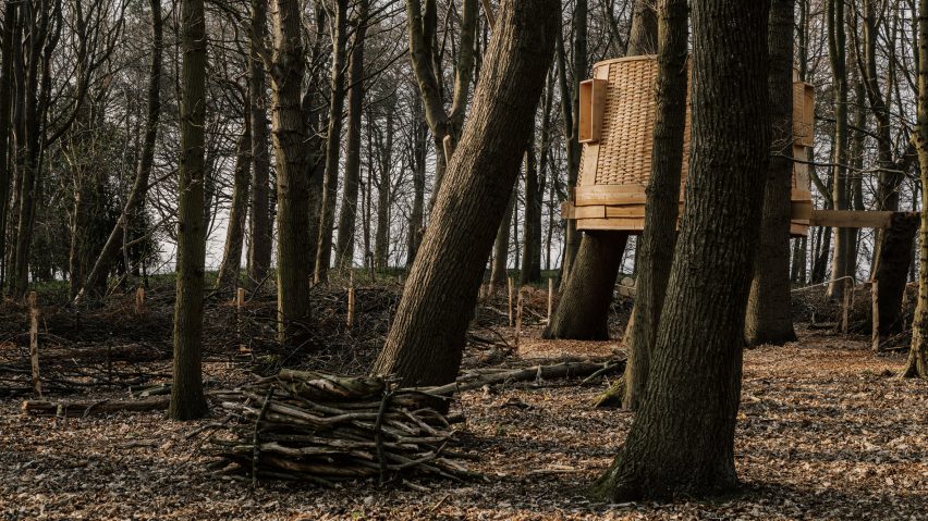 Sylvascope by Sebastian Cox for Harewood Biennial