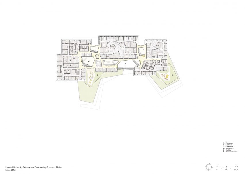 Level 4 floor plan