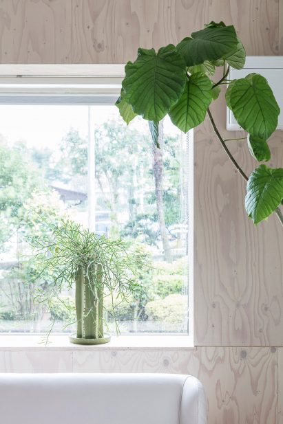 Window framed by plywood-covered walls