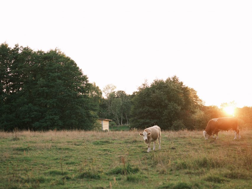 Farmland in Sweden