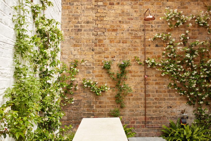 Garden of Library House by Macdonald Wright Architects