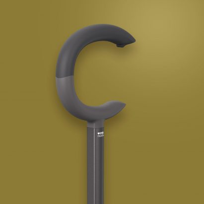 A walking stick