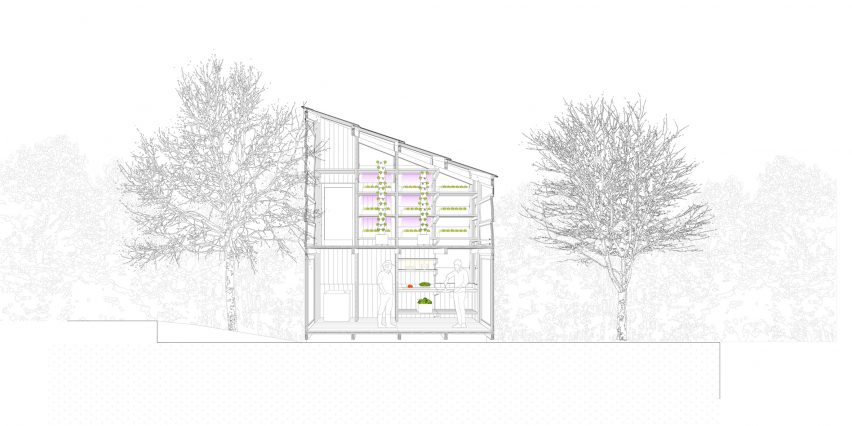 Section drawing of Solar Greenhouse by IAAC