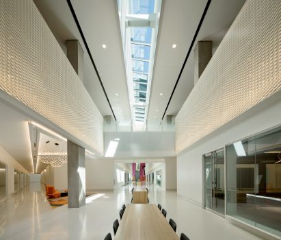 skylights nike building