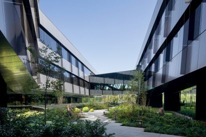 elevated garden