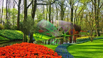 Designing my Butterfly House by Alanna Mak