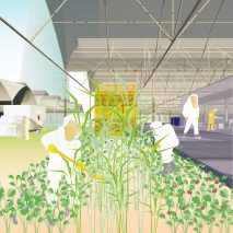 EU-backed architecture platform LINA to help “deliver the European Green Deal”