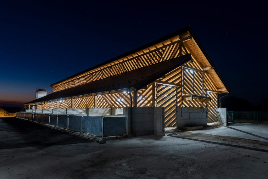 Black Slavonian Eco Pig Farm lit up from inside at night