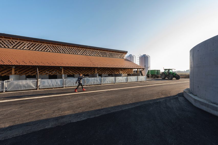 Worker walks outside the Black Slavonian Eco Pig Farm stable