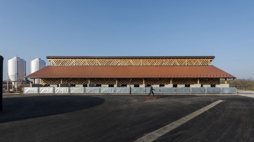 Black Slavonian Eco Pig Farm by Skroz