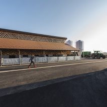 Black Slavonian Eco Pig Farm by Skroz