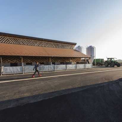 Black Slavonian Eco Pig Farm by Skroz