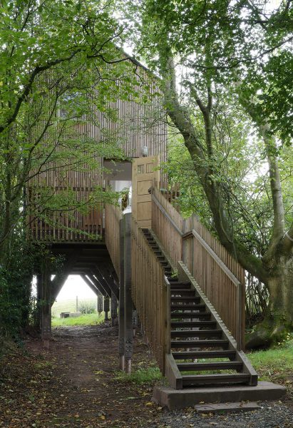 Staircase leading to Drovers' Bough cabin