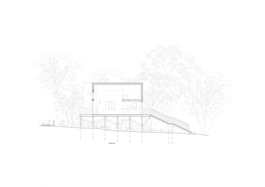 Section of Drovers' Bough by Akin Studio