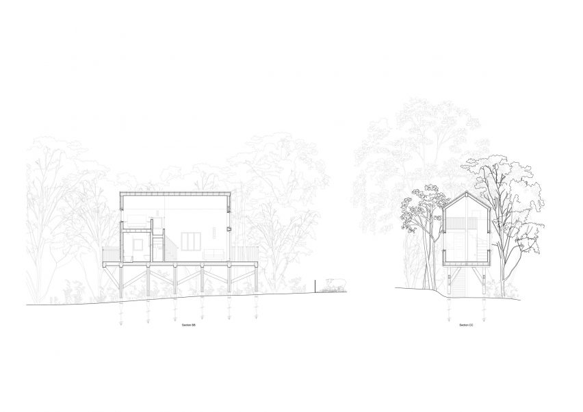 Section of Drovers' Bough by Akin Studio