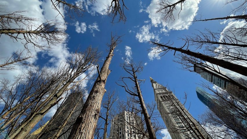 Ghost Forest by Maya Lin