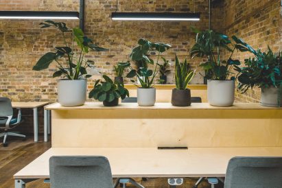 Patch Chelmsford library workspace with plants