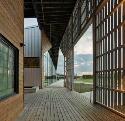 Cedar siding