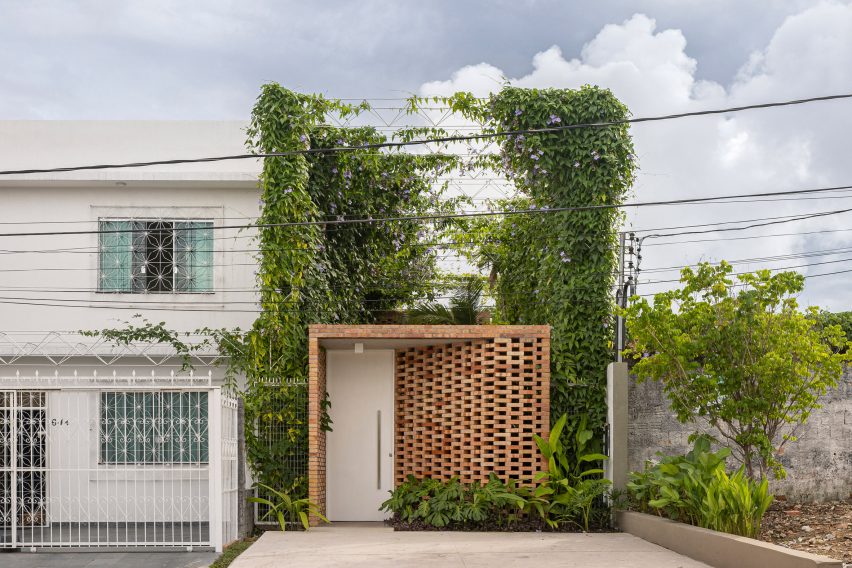 Tropical Shed
