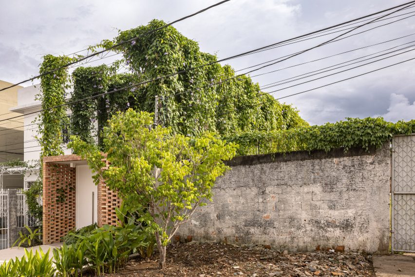 Tropical Shed