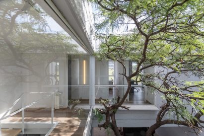 corboda apartment with tree in center