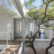 tree in courtyard argentina row house