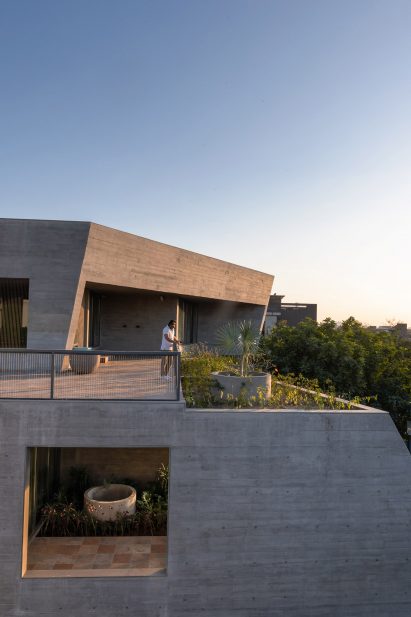 Image of a planted terrace at Beton Brut