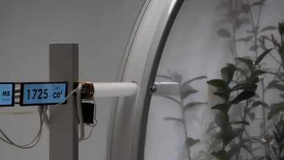 CO2 being pumped into terrarium