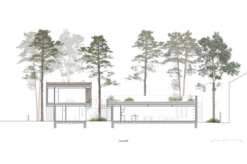 Section of Cork House by Inês Brandão Arquitectura