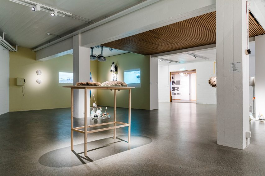 Nest made of hair at Eider exhibition